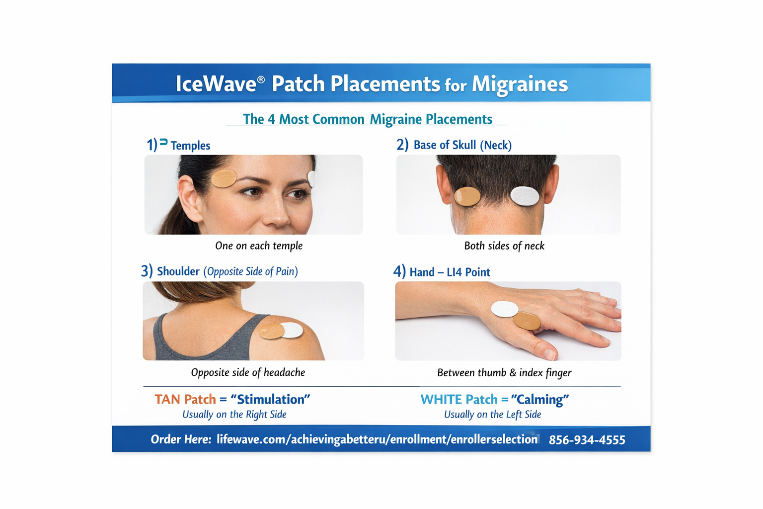 Cellular & Inflammation Support